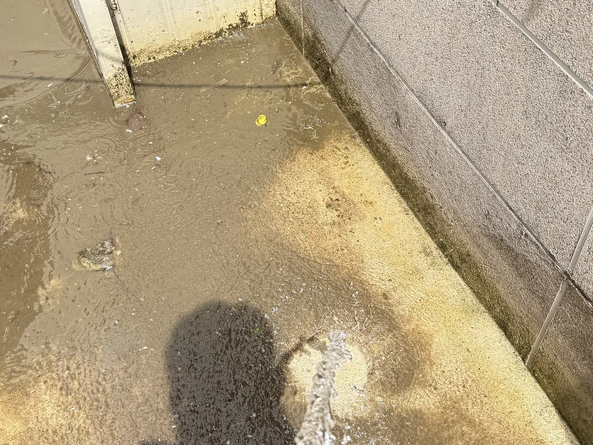북구 검단동 침수 현장 복도·대기 동선 야간 위생청소 사례 - 행진크린
